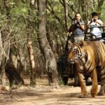 1 8 day private golden triangle tour with a ranthambore wildlife safari from delhi 8-Day Private Golden Triangle Tour With a Ranthambore Wildlife Safari From Delhi