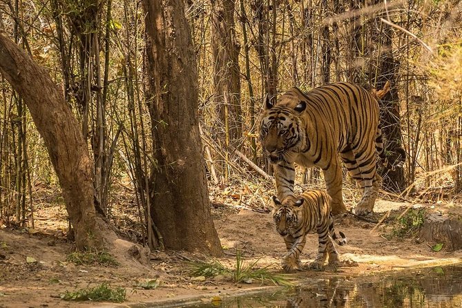 8 Days Private Golden Triangle Tour With Ranthambore