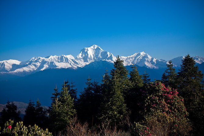 9 Days Short and Easy Ghorepani Poonhill Trekking in Nepal