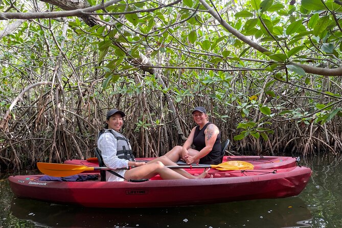 A Private Half-Day Kayaking Experience in Nichupté Lagoon  – Cancun