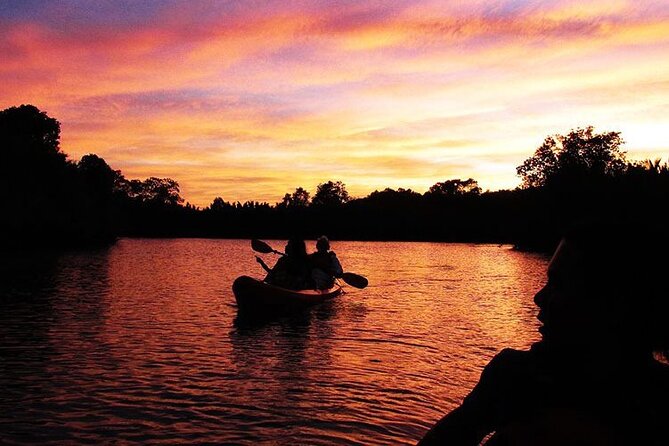 Abatan River Firefly Kayak Trip With Dinner and Transfers  – Tagbilaran City