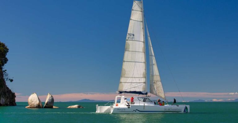 Abel Tasman National Park: Day Sailing Adventure With Lunch