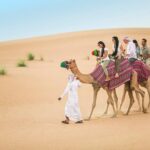 1 abu dhabi desert safari 4x4 dune bashing camel riding sand boarding with bbq Abu Dhabi Desert Safari 4x4 Dune Bashing & Camel Riding & Sand Boarding With BBQ