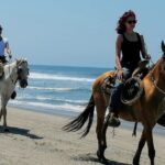 1 acapulco beach horseback riding tour with baby turtle release Acapulco Beach Horseback Riding Tour With Baby Turtle Release