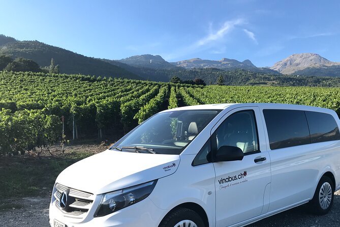 1 activity in private minibus wine tasting in valais Activity in Private Minibus, Wine Tasting in Valais