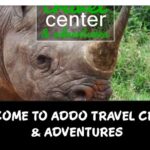 1 addo elephant national park driving tour port elizabeth Addo Elephant National Park Driving Tour - Port Elizabeth