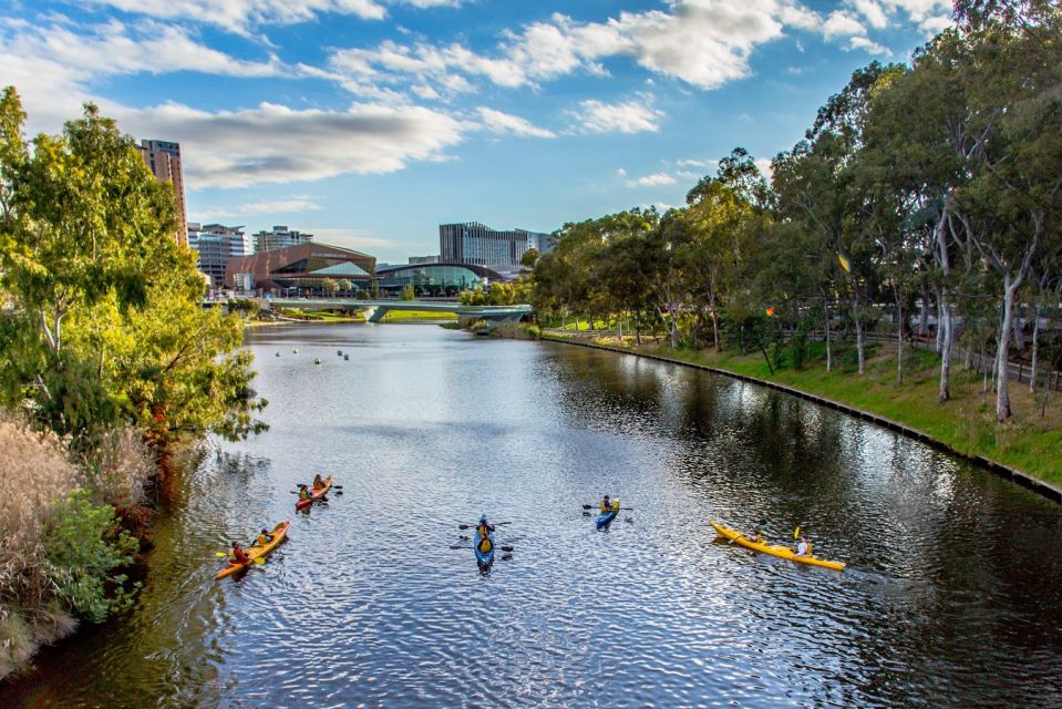 1 adelaide city kayaking Adelaide: City Kayaking Experience