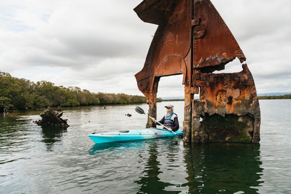 1 adelaide dolphin sanctuary eco kayaking tour Adelaide: Dolphin Sanctuary Eco Kayaking Tour