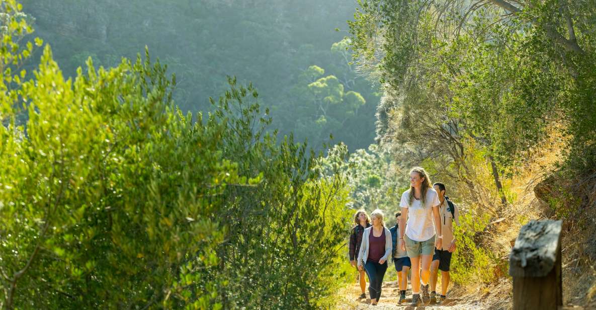 1 adelaide morialta wilderness and wildlife hike Adelaide: Morialta Wilderness and Wildlife Hike