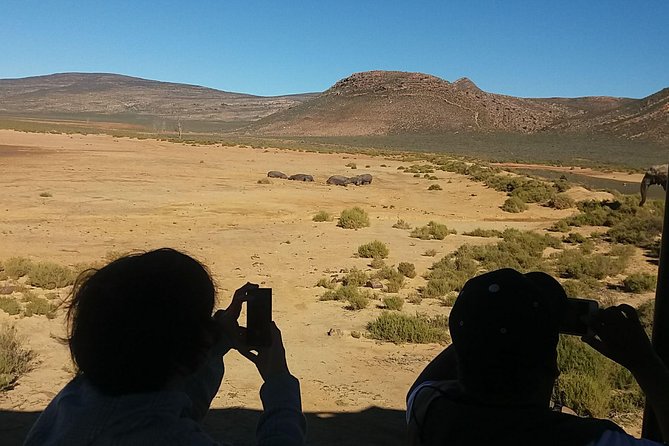 African Big 5 Full Day Safari Aquila Game Reserve From Cape Town