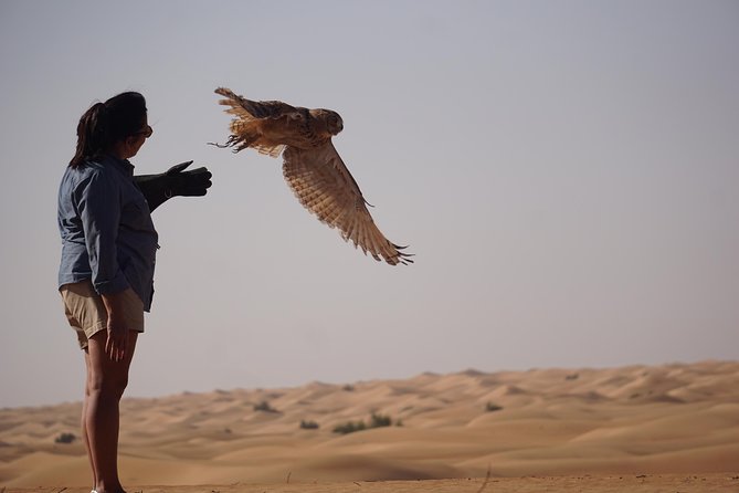 1 afternoon dubai falconry safari Afternoon Dubai Falconry Safari