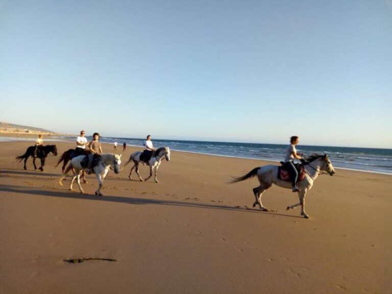 Agadir and Taghazout: 2-Hour Sunset Beach Horseback Ride