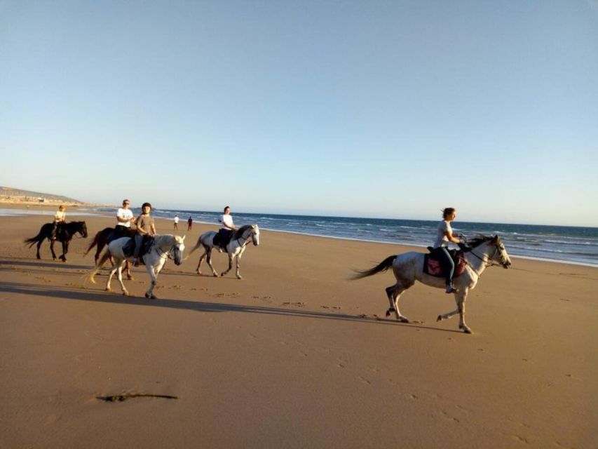 1 agadir and taghazout 2 hour sunset beach horseback ride Agadir and Taghazout: 2-Hour Sunset Beach Horseback Ride