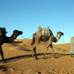 1 agadir desert safari jeep tour with lunch hotel transfers 12 Agadir: Desert Safari Jeep Tour With Lunch & Hotel Transfers
