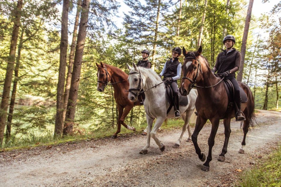 1 agadir forest and sand dunes guided horse riding tour Agadir: Forest and Sand Dunes Guided Horse Riding Tour