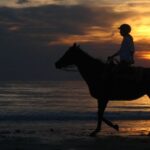 1 agadir sunset camel ride with dinner 2 Agadir: Sunset Camel Ride With Dinner