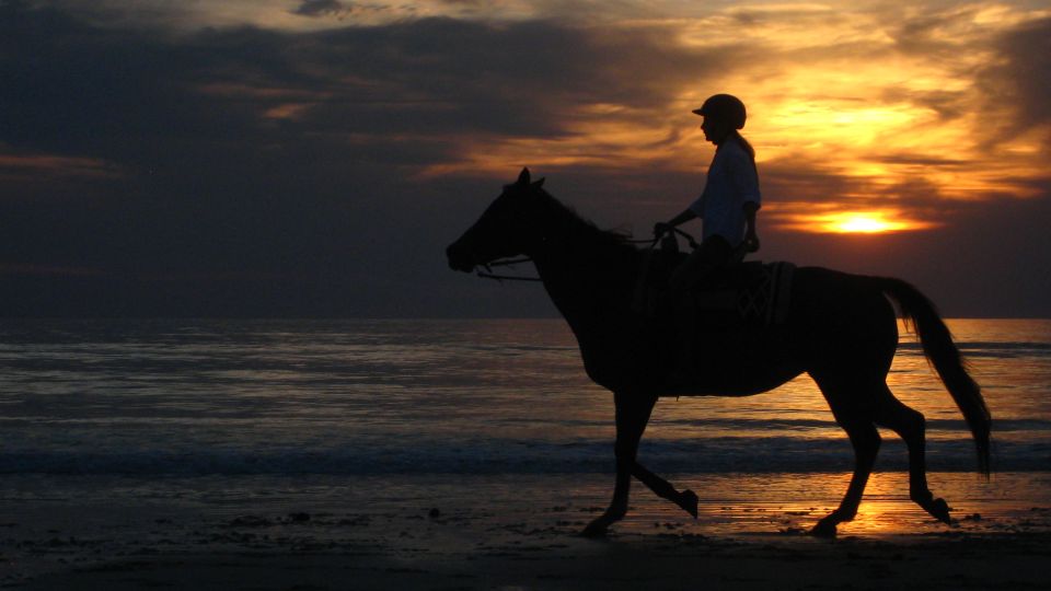 1 agadir sunset camel ride with dinner 2 Agadir: Sunset Camel Ride With Dinner