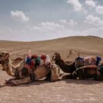 1 agafay desert package quad bike camel ride and lunch 2 Agafay Desert Package: Quad Bike & Camel Ride and Lunch