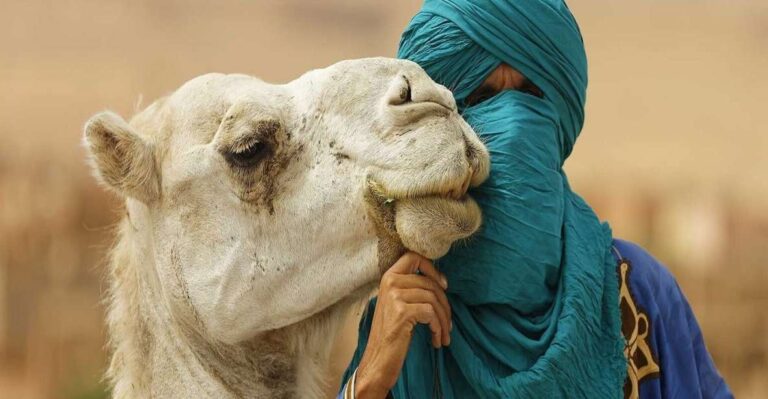 Agafay Desert Sunset Camel Ride Half Day Tour From Marrakech