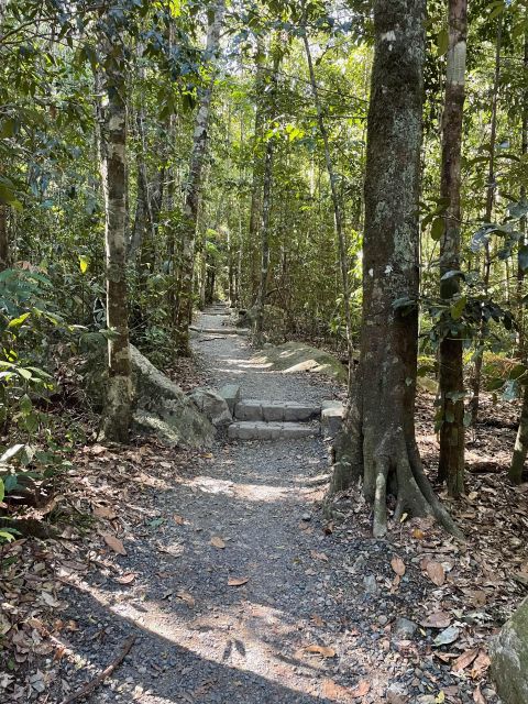 Airlie Beach: Platypus, Eungella and Waterfalls Day Tour