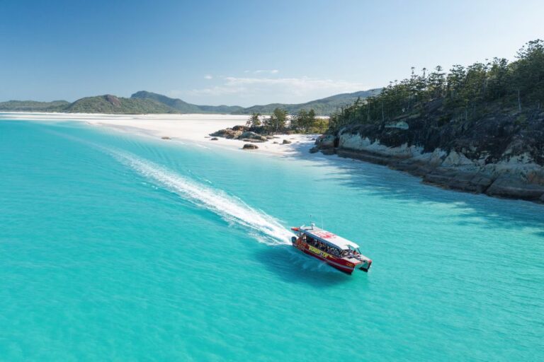 Airlie Beach: Whitehaven Full-Day Eco-Cruise With Buffet