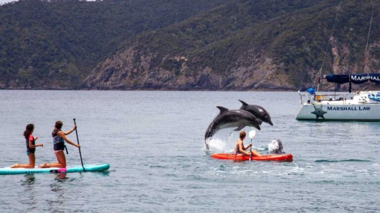 Akaroa Day Tour From Christchurch