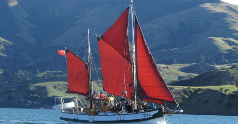 Akaroa: Wildlife Sailing Cruise With Dolphins and Penguins