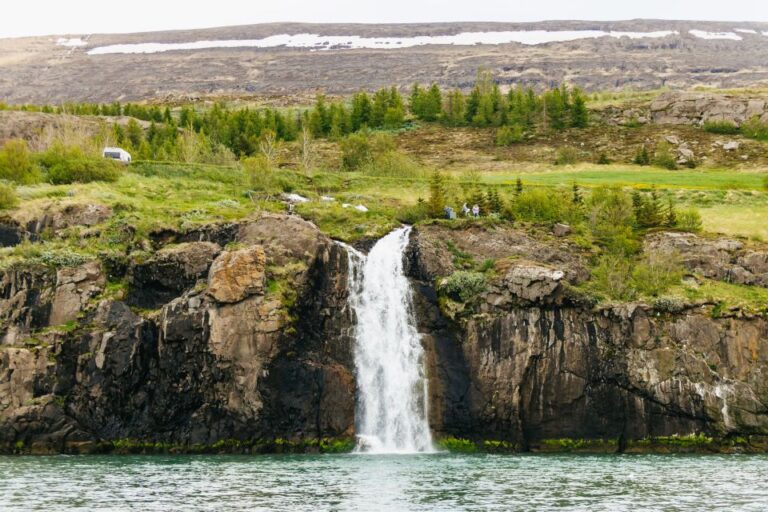 Akureyri: 3-Hour Classic Whale Watching Tour