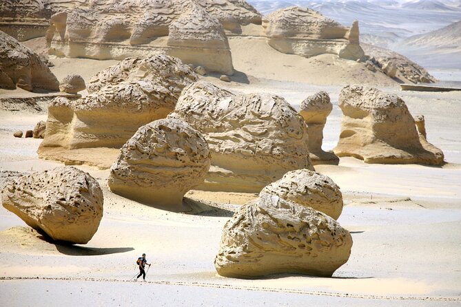 1 al fayoum private trip with lunch boat and sandboarding cairo Al-Fayoum Private Trip With Lunch, Boat, and Sandboarding - Cairo