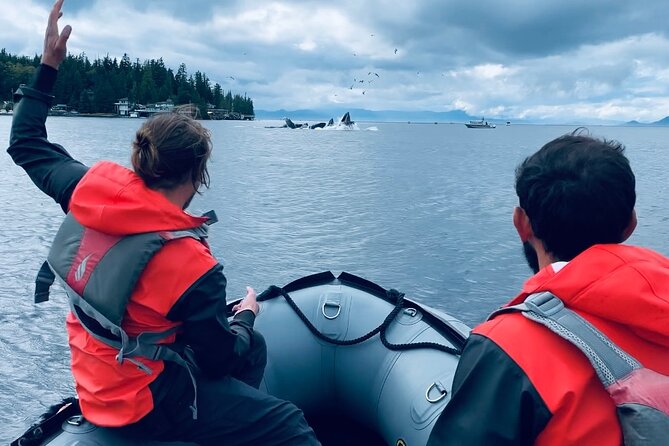 Alaska Marine Fast Boat Adventure