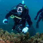 1 albufeira small group certified dive Albufeira Small-Group Certified Dive