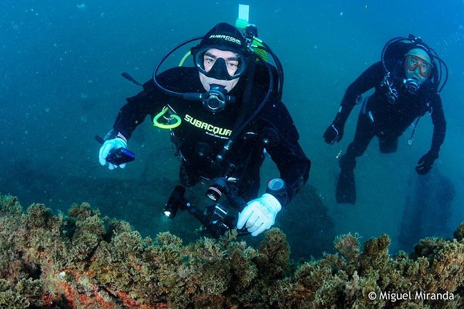 Albufeira Small-Group Certified Dive
