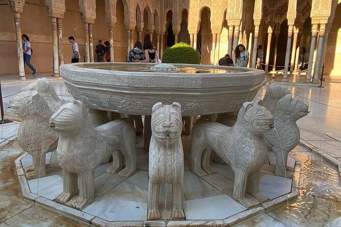Alhambra, Generalife & Nasrid Palaces Direct Access Tour - Tour Operator Information