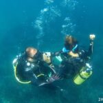 1 alicante denia beginners scuba diving experience Alicante: Denia Beginners Scuba Diving Experience