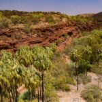 1 alice springs 4wd palm valley tour with lunch Alice Springs: 4WD Palm Valley Tour With Lunch