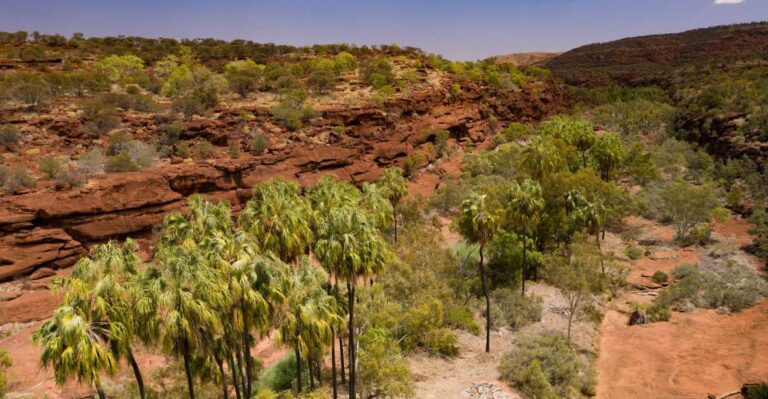 Alice Springs: 4WD Palm Valley Tour With Lunch