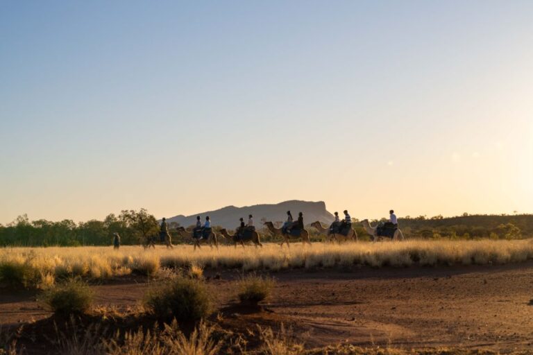 Alice Springs: Guided Outback Camel Ride