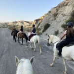 1 almeria tabernas desert horse riding for experienced riders Almeria: Tabernas Desert Horse Riding for Experienced Riders