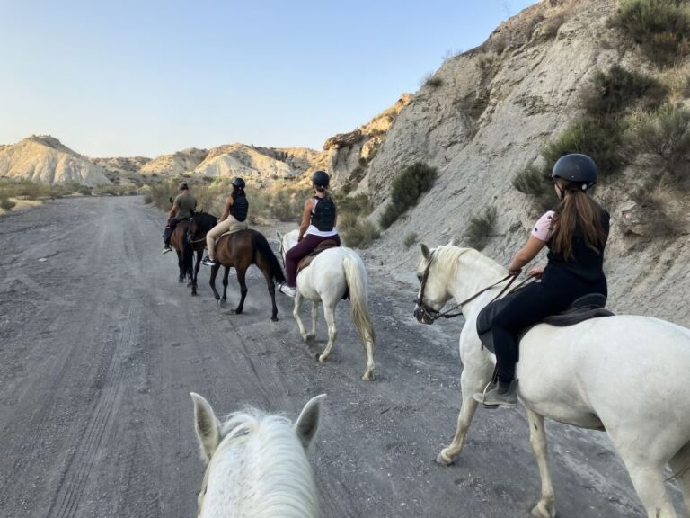 Almeria: Tabernas Desert Horse Riding for Experienced Riders