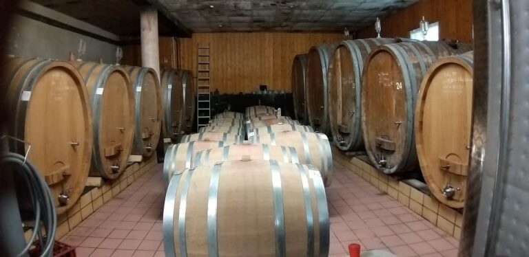 Alsace: Private Wine Tour