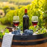 1 alsace wine odyssey full day private tour from strasbourg Alsace Wine Odyssey: Full-Day Private Tour From Strasbourg