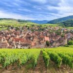 1 alsace wine odyssey full day private tour from strasbourg 2 Alsace Wine Odyssey: Full-Day Private Tour From Strasbourg