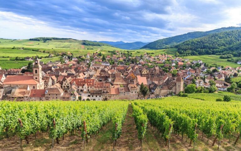 Alsace Wine Odyssey: Full-Day Private Tour From Strasbourg