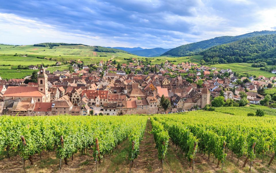 1 alsace wine odyssey full day private tour from strasbourg 2 Alsace Wine Odyssey: Full-Day Private Tour From Strasbourg