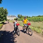1 amboise highlights private e bike tour w clos luce ticket Amboise: Highlights Private E-Bike Tour W/ Clos Lucé Ticket