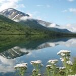 1 anchorage to seward cruise transfer and private tour Anchorage to Seward Cruise Transfer and Private Tour