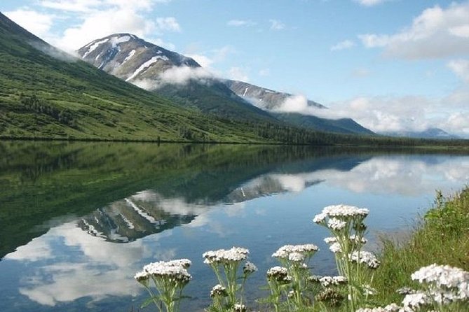 1 anchorage to seward cruise transfer and private tour Anchorage to Seward Cruise Transfer and Private Tour
