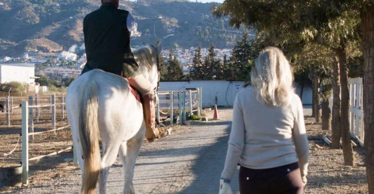 Andalucia: Horse Riding Tour With Picnic