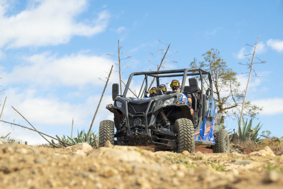 1 anfi beach guided buggy tour Anfi Beach: Guided Buggy Tour.