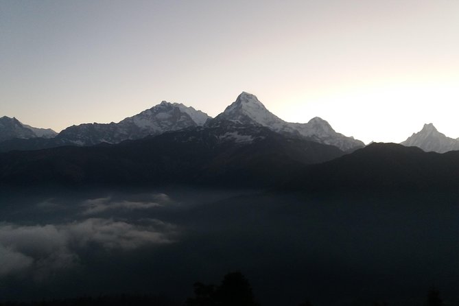 Annapurna: 2 Days Poon Hill Trek From Pokhara